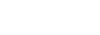 Ascot Racecourse - The Shergar Cup Logo